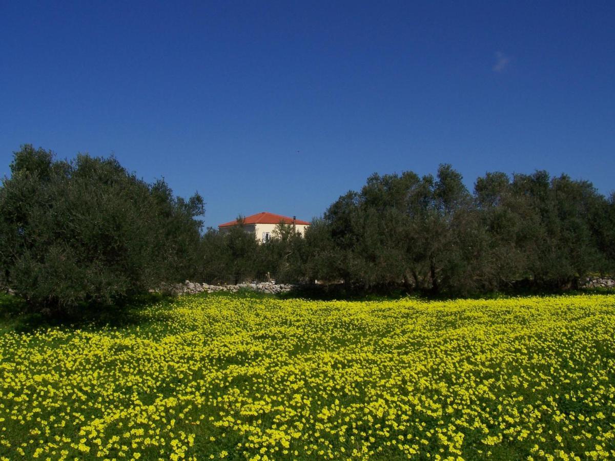 Manolo S Olive Farm, Apartment With Seaview Chania  Екстер'єр фото